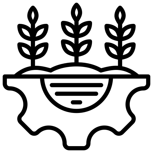 Activated Biochar